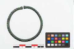 Foto von Bronzeperlarmreif (NHMW-PRAE-025241)